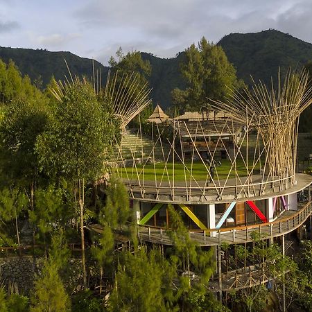 Pagupon Bromo Budget Lodge Exterior foto